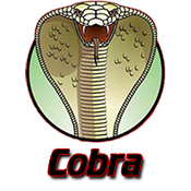 Cobra stecche