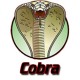 Cobra stecche